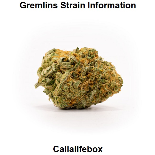 Gremlins Strain Information