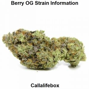 Berry OG Strain Information