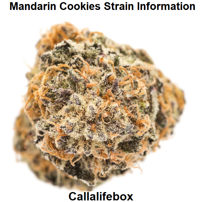 Mandarin Cookies Strain Information