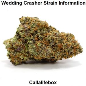 Wedding Crasher Strain Information