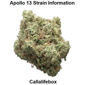 Apollo 13 Strain Information