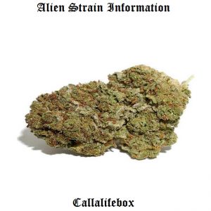 ailen