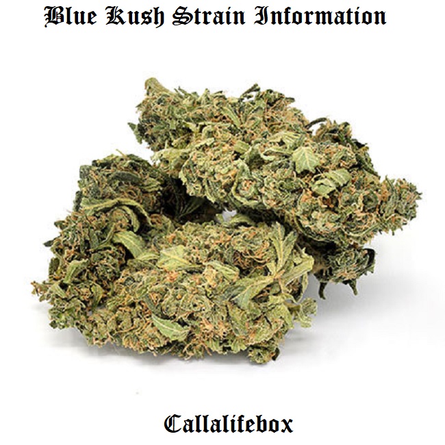 blue weed strain