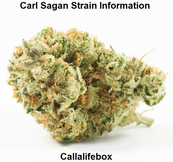 Carl Sagan Strain Information