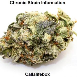Chronic Strain Information