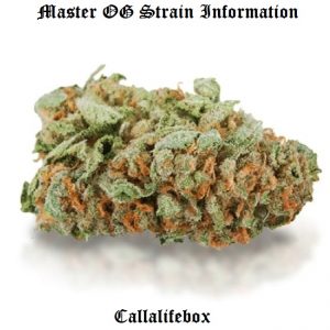 master og strain