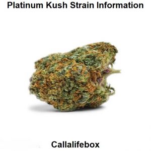 Platinum Kush Strain Information