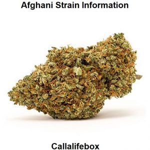 Afghani Strain Information