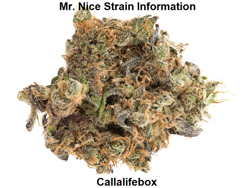 Mr. Nice Strain Information