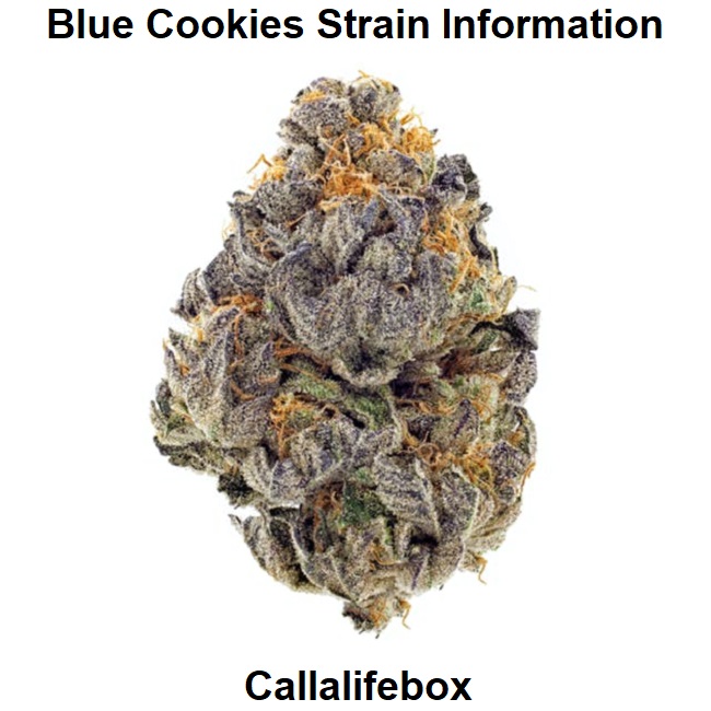 Blue Cookies Strain Information
