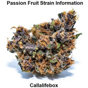 Passion Fruit Strain Information