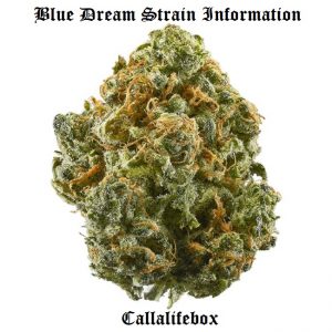 what is blue dream