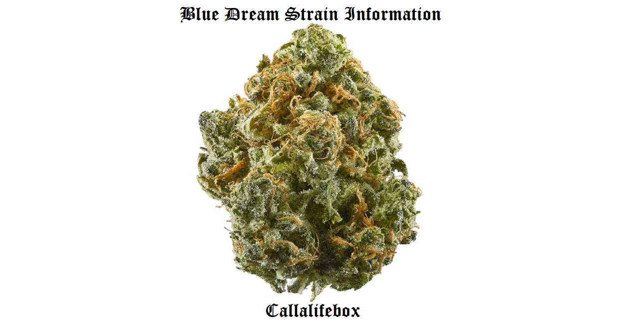 what is blue dream
