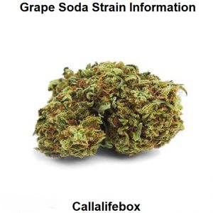 Grape Soda Strain Information